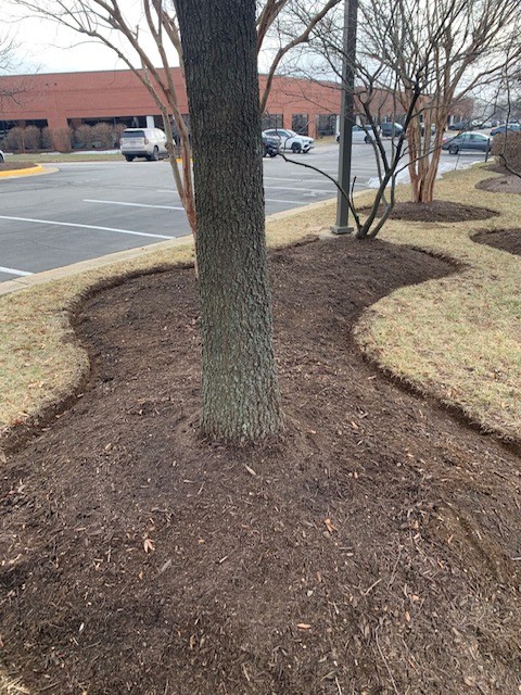 expert edging services wc landscapes in Centerville