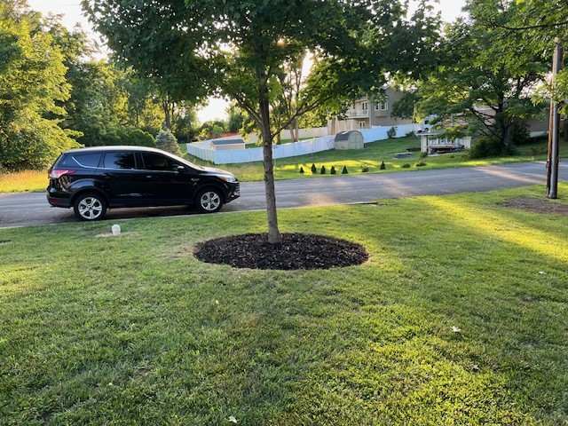 Mulching in centerville